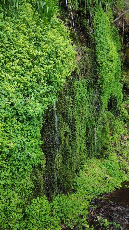 Outeiro  Pe Na Aldeiaヴィラ エクステリア 写真